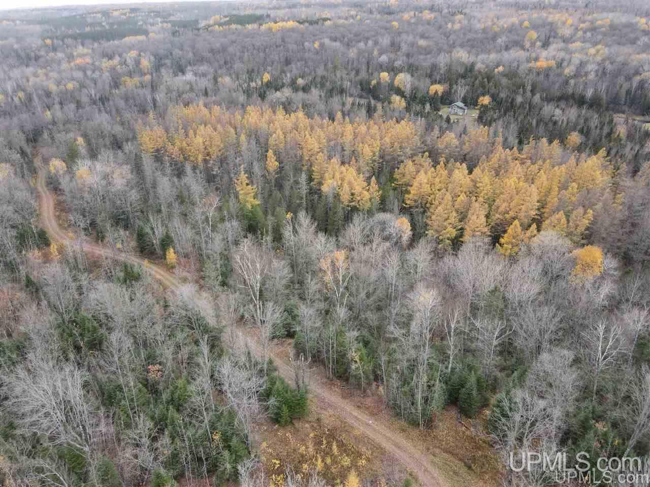 Off Off M64s Bessemer, MI 49911 - Photo 33 of 33