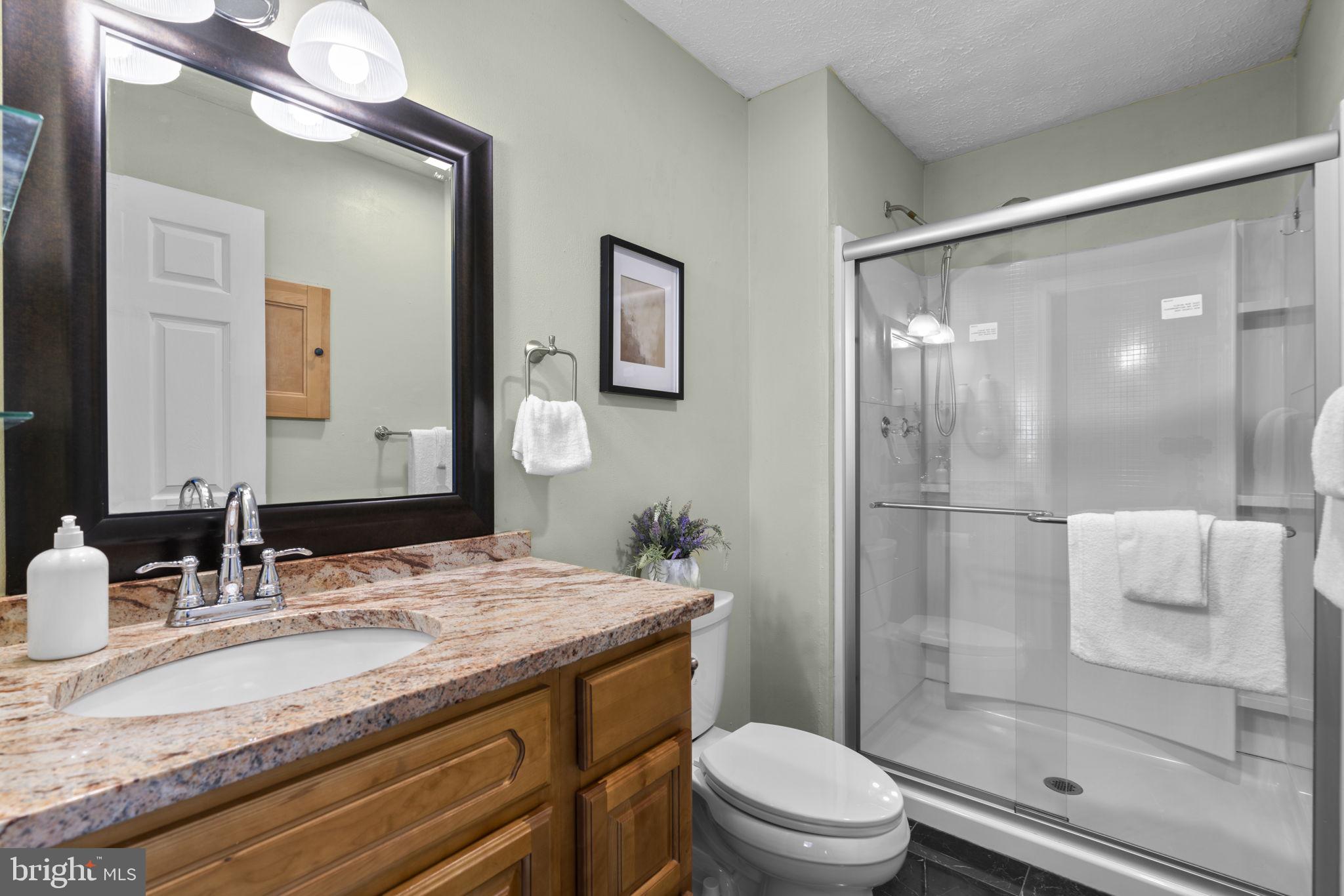 7254 Riding Hood Circle Columbia, MD 21045 - Photo 15 of 35 Primary Bathroom