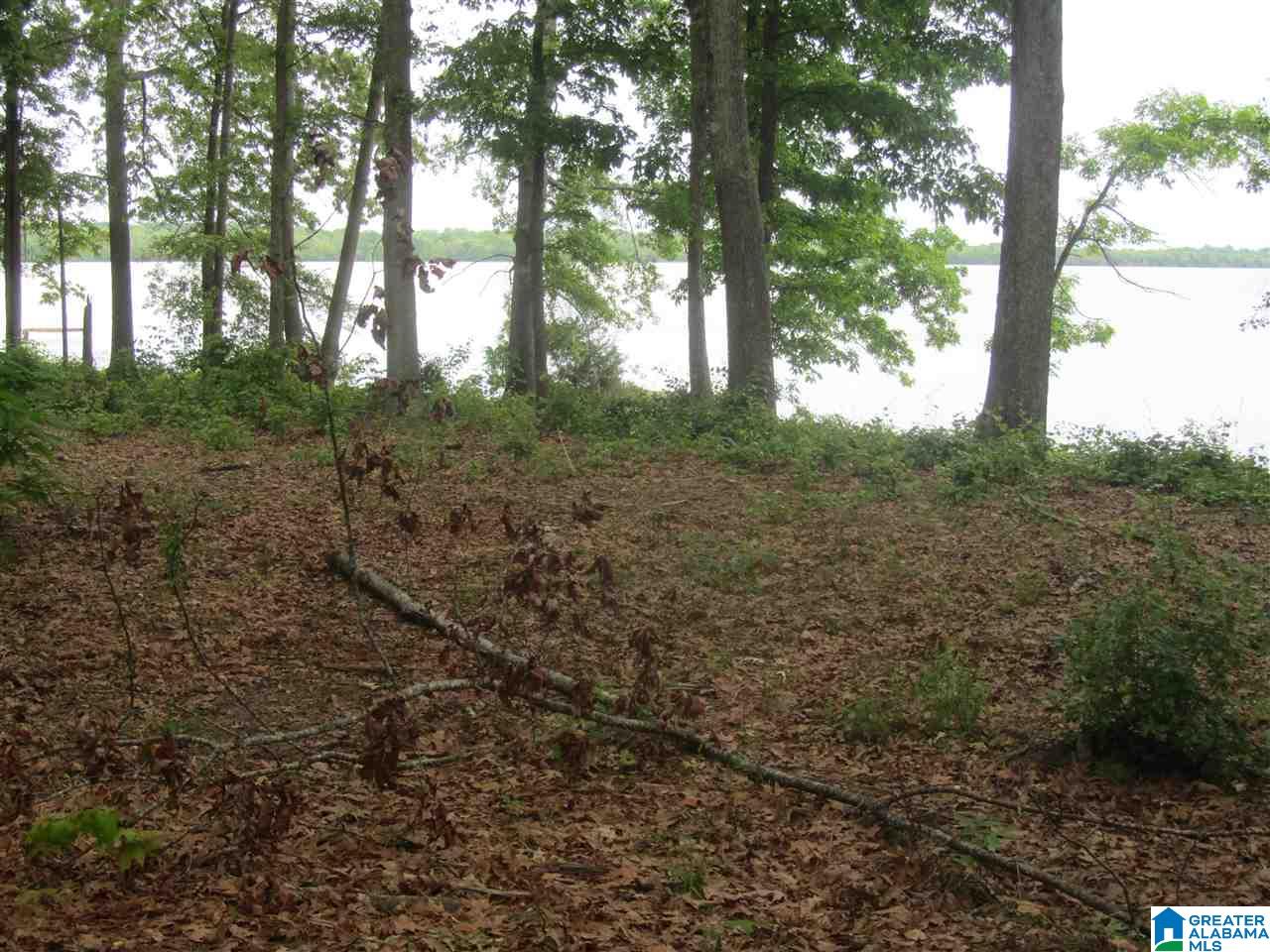 0 County Road 578, Unit 10 Centre, AL 35960 - Photo 11 of 15