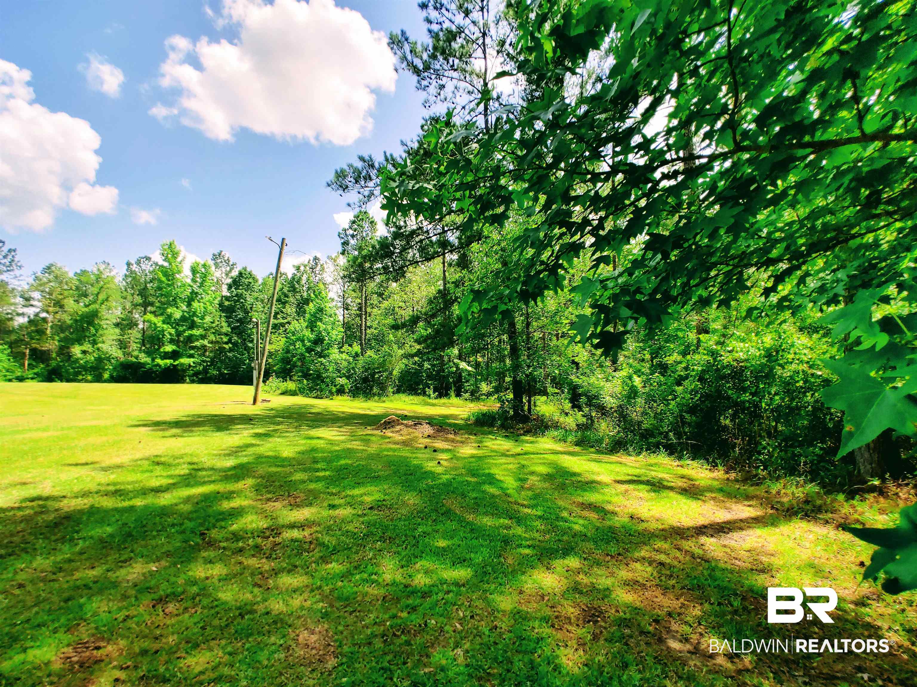 48 Highway 17 Millry, AL 36558 - Photo 48 of 50