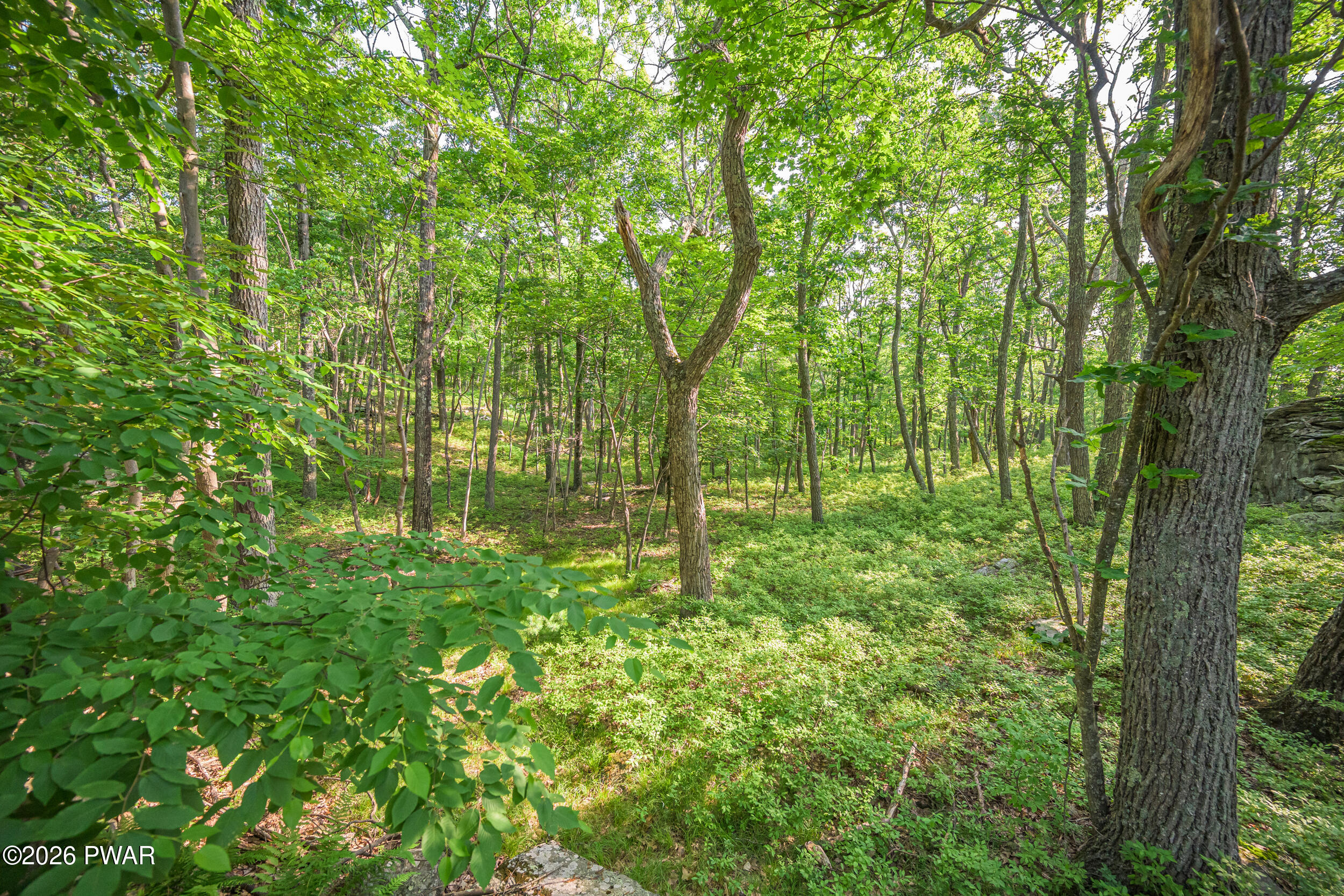 High Ridge Dingmans Ferry, PA 18328 - Photo 34 of 63