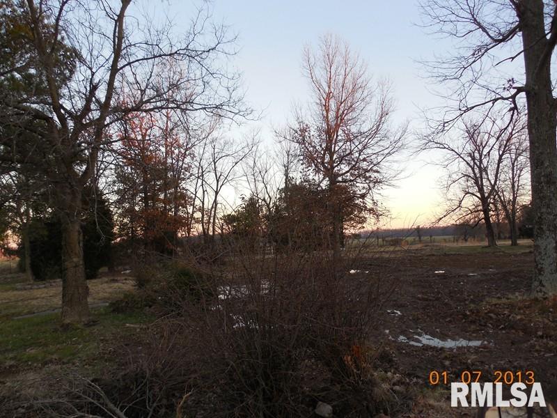 9728 Unionville Road Brookport, IL 62910 - Photo 3 of 8