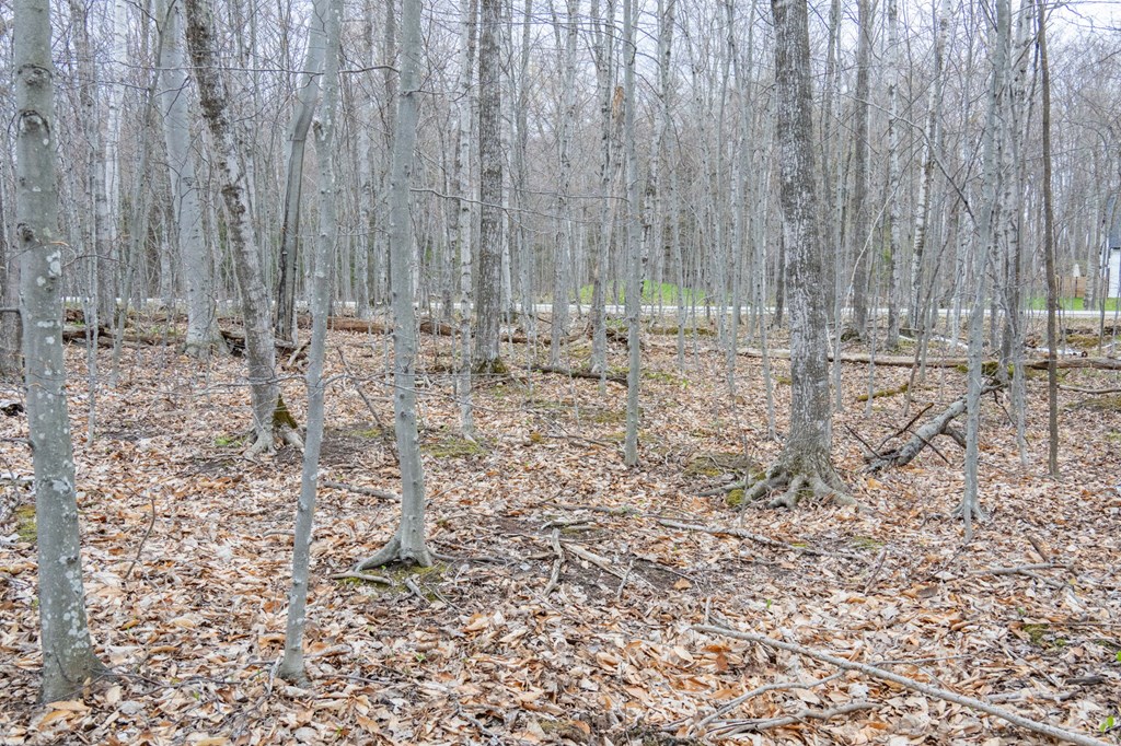 Lot 2 Cottage Road Ellison Bay, WI 54210 - Photo 27 of 30