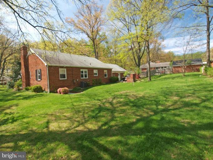 Back yard