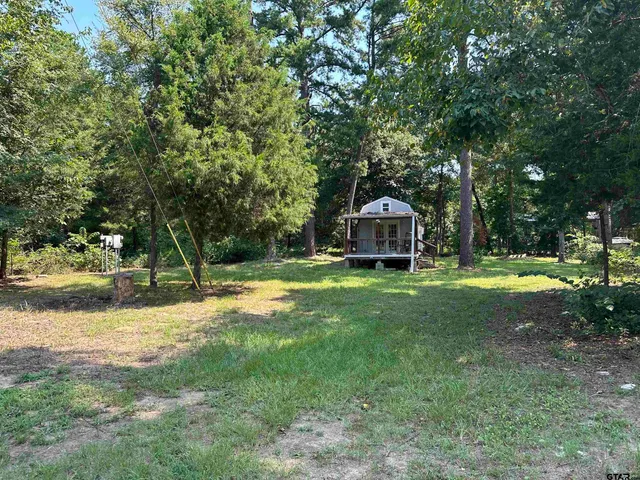 a view of a park with large trees