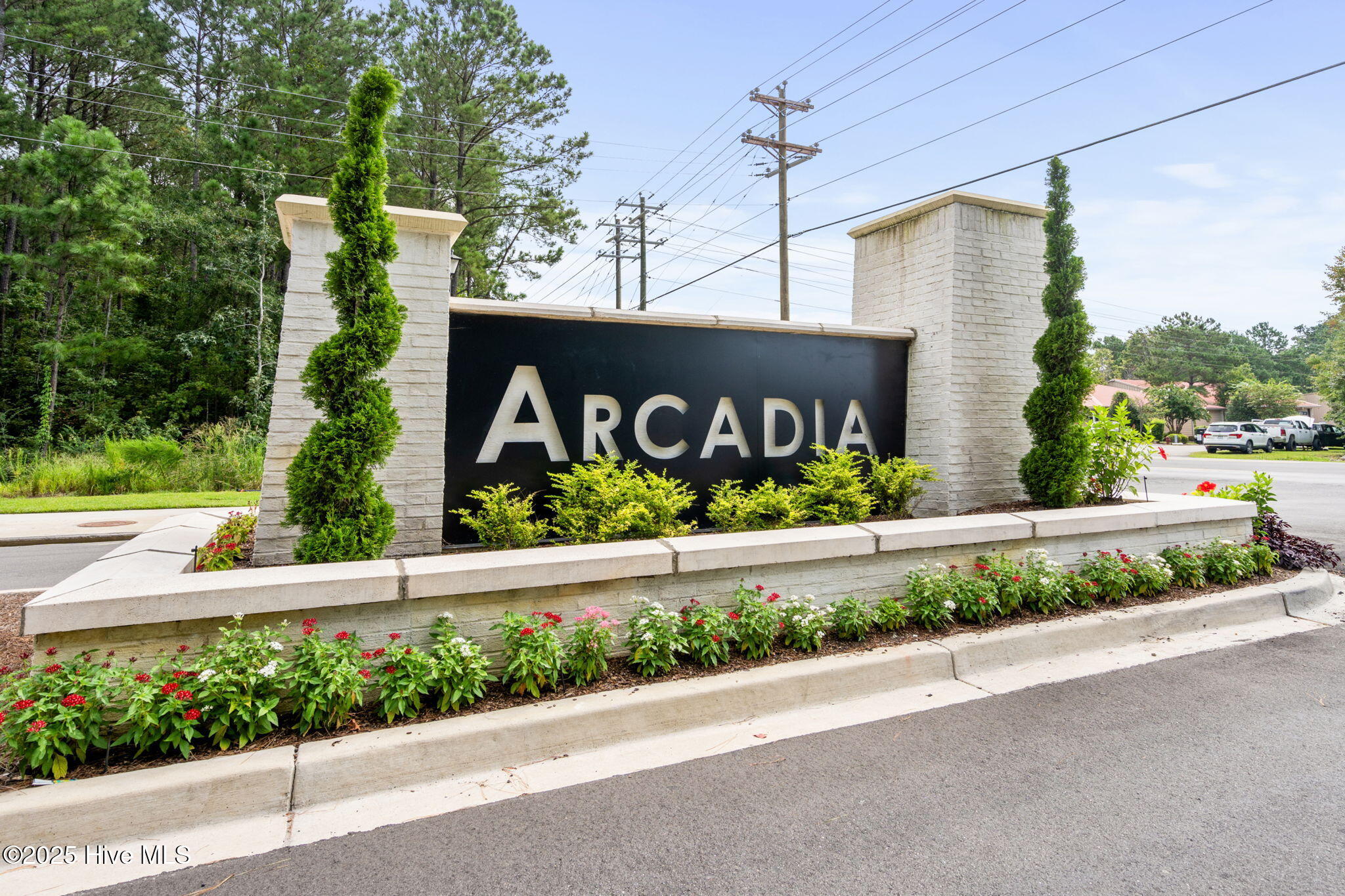 528 Fanciful Way Myrtle Beach, SC 29588 - Photo 40 of 40 62-web-or-mls-Arcadia 14