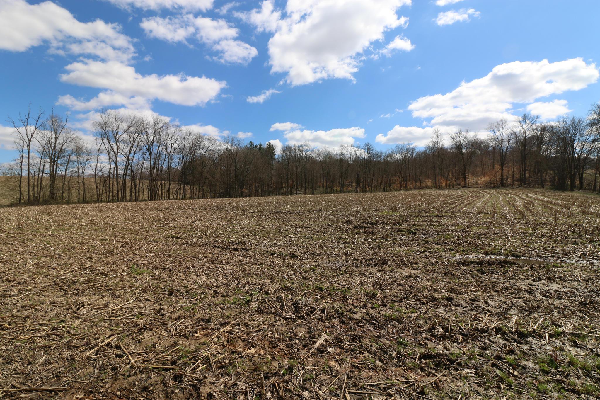 0 Township Road 131 Southeast Junction City, OH 43748 - Photo 21 of 63