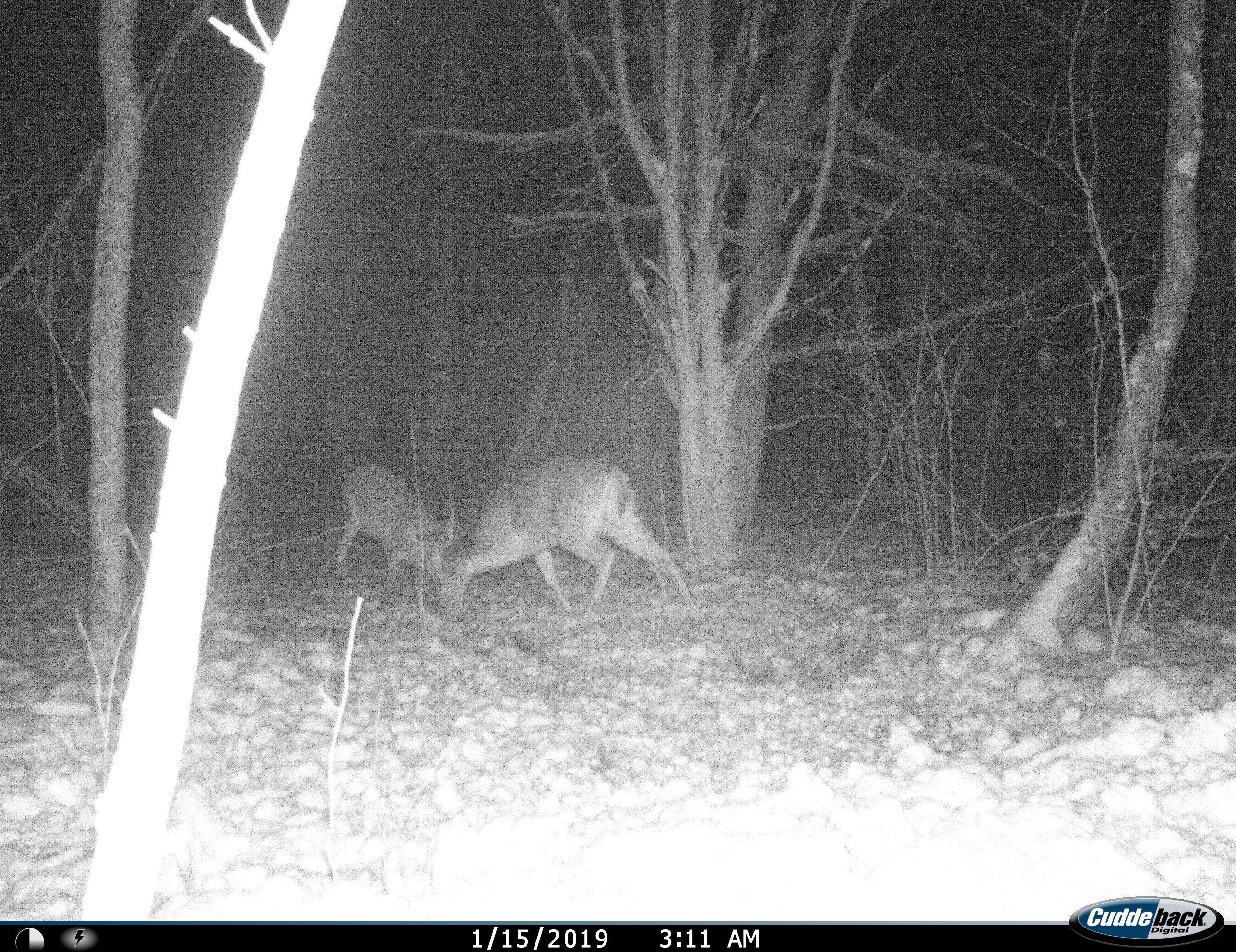 0 Township Road 131 Southeast Junction City, OH 43748 - Photo 60 of 63