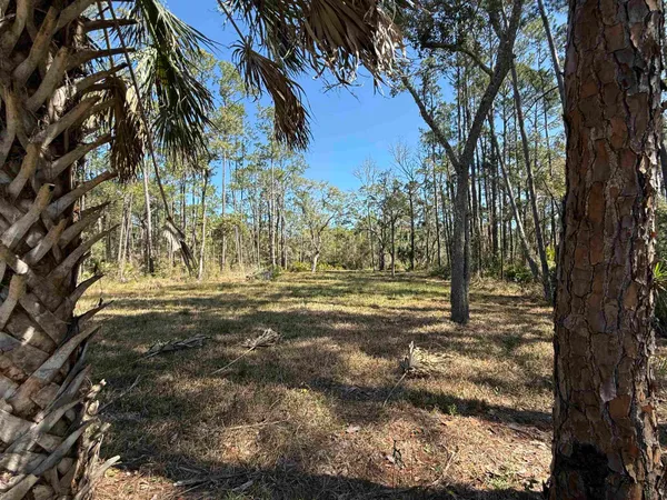 $49,000 | Lot 11 River Drive, Panacea, FL 32346