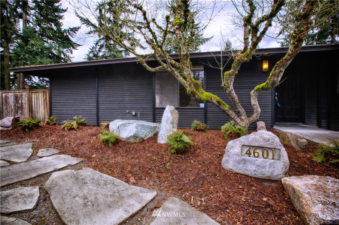 4601 Northeast 24th Street Renton, WA 98059 - Photo 6 of 25 a view of a back yard of the house