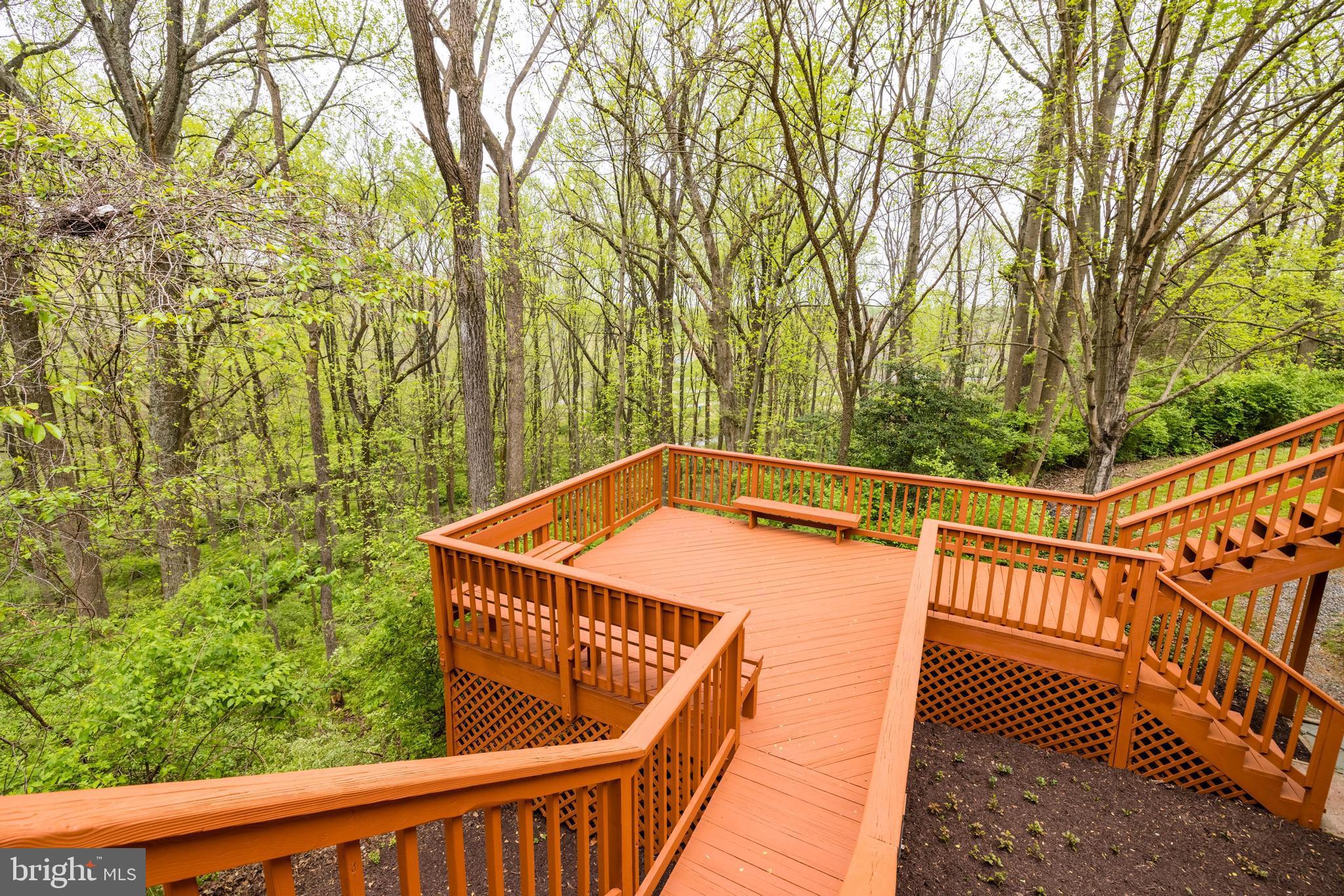 1348 Hunter Mill Road Vienna, VA 22182 - Photo 57 of 71