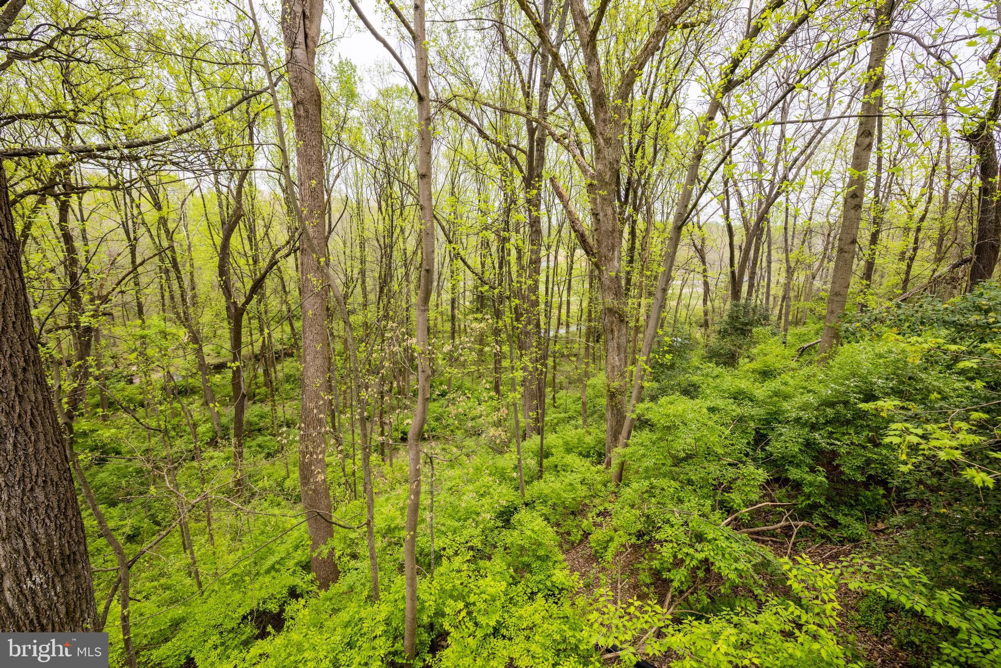 1348 Hunter Mill Road Vienna, VA 22182 - Photo 59 of 71