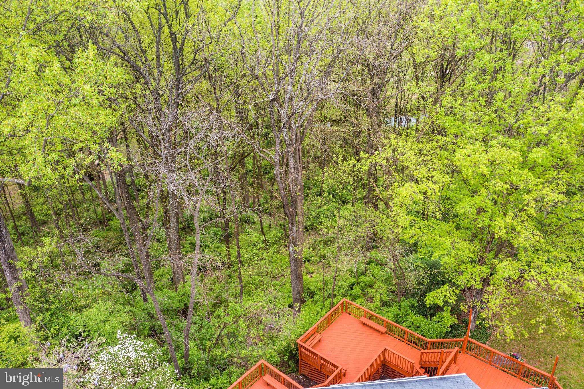 1348 Hunter Mill Road Vienna, VA 22182 - Photo 64 of 71