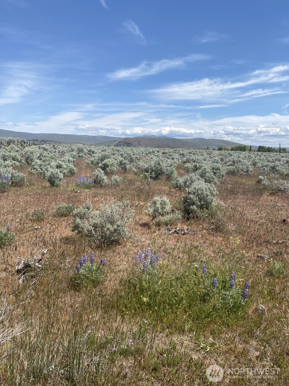 3 A Lester Road Ellensburg, WA 98926 - Photo 4 of 14 a view of a city with lush green forest