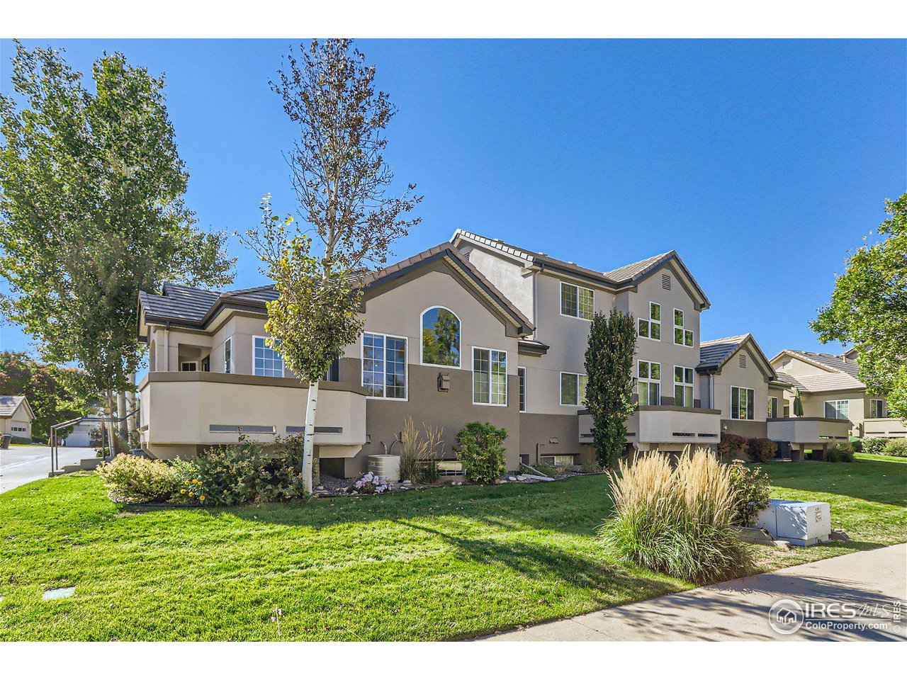 4159 Da Vinci Drive Longmont, CO 80503 - Photo 30 of 32 a view of house with garden and tall tree