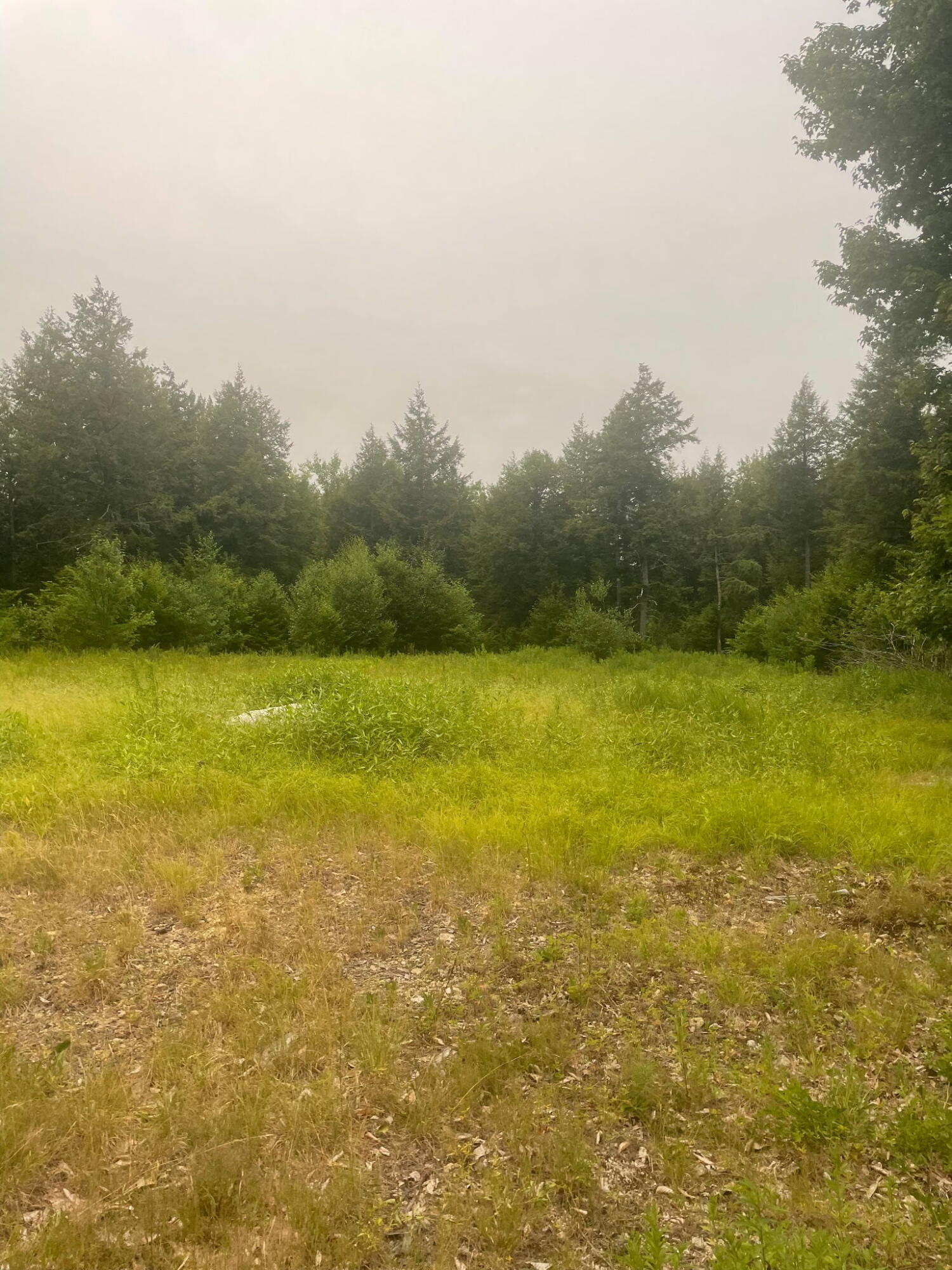Lot 3 Allen Mountain Road Denmark, ME 04022 - Photo 8 of 11 4674