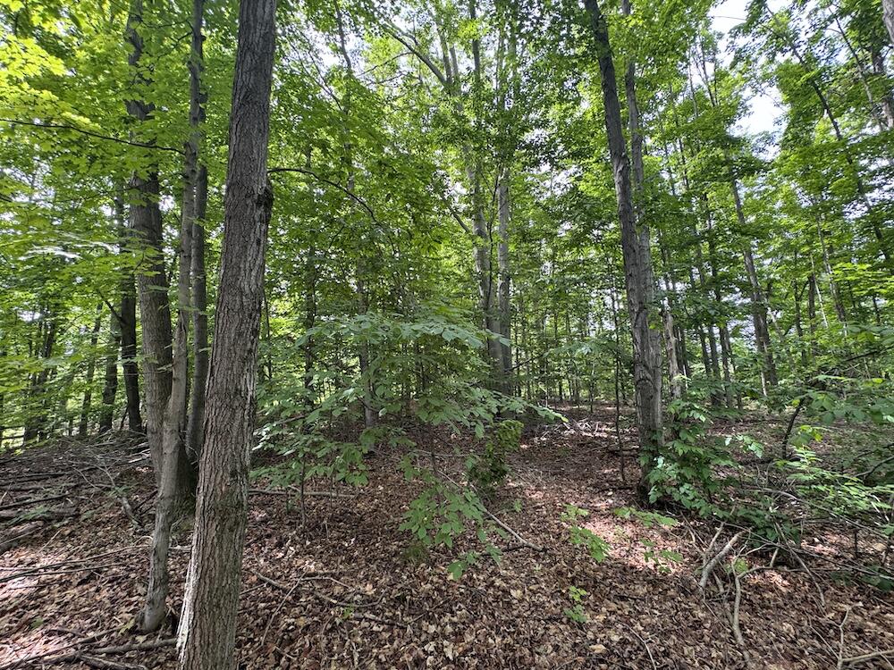 1734 North Galbraith Road Mio, MI 48647 - Photo 27 of 120 14