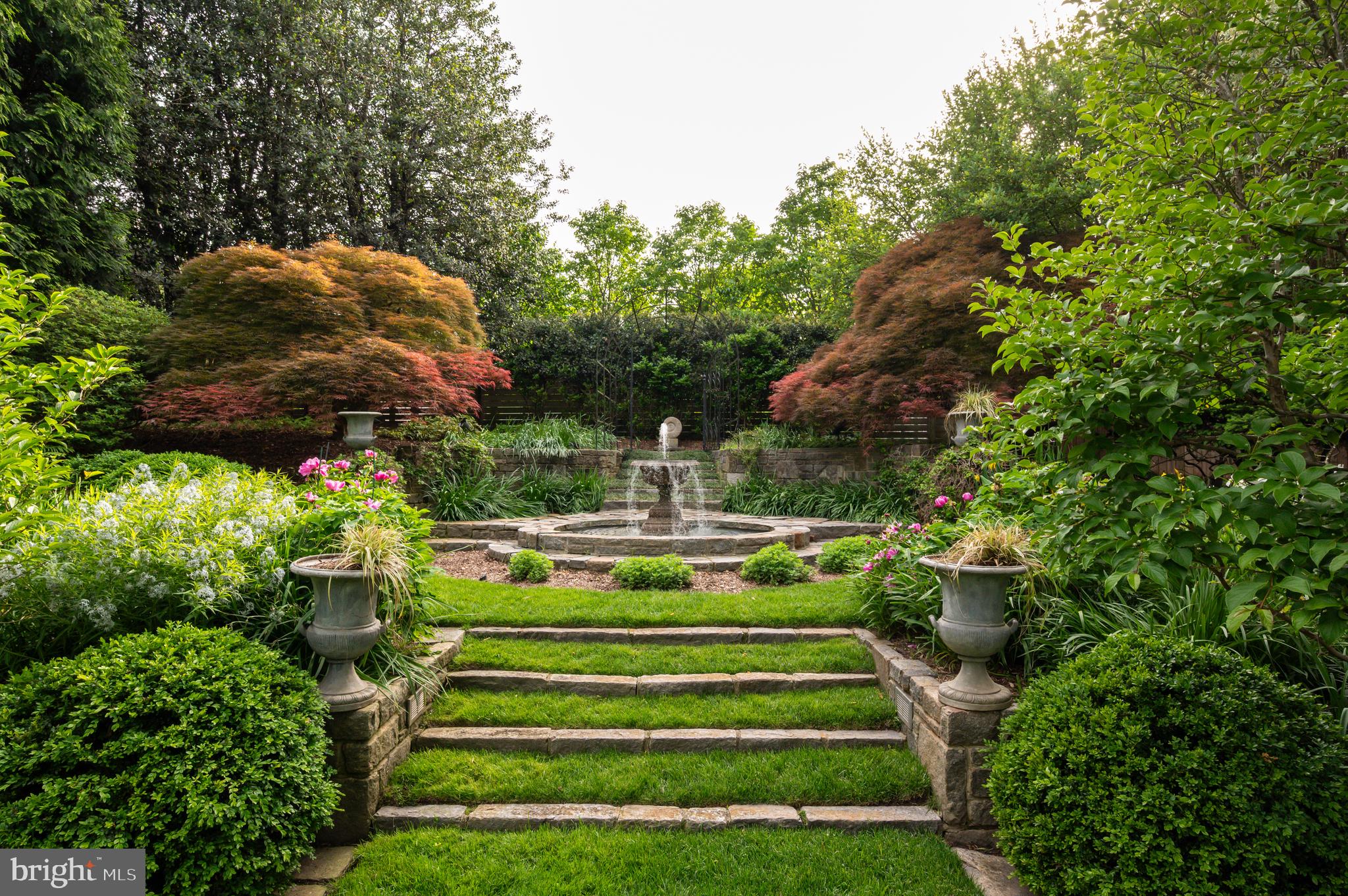 7116 Glenbrook Road Bethesda, MD 20814 - Photo 13 of 30 a view of a garden with plants
