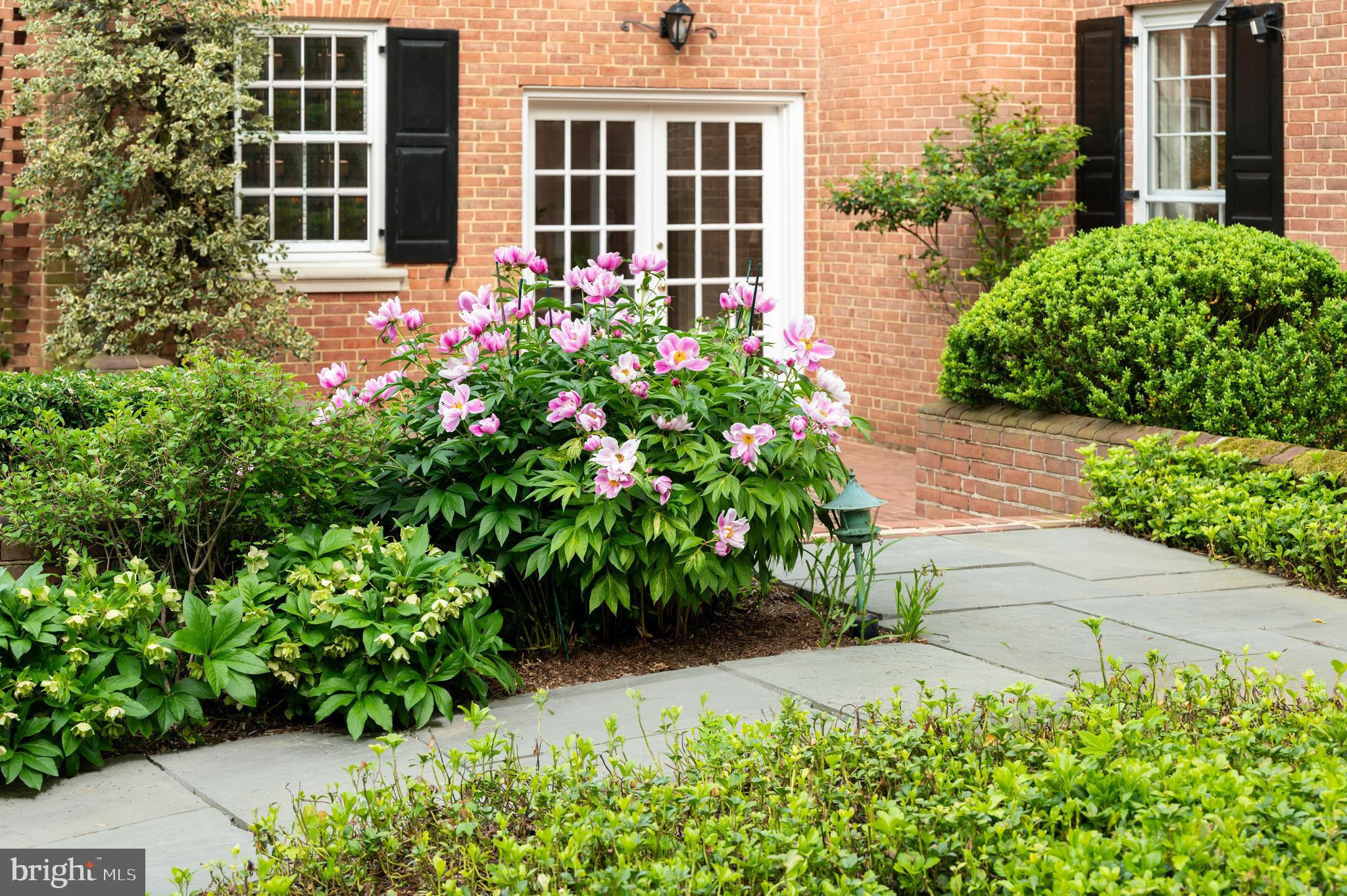 7116 Glenbrook Road Bethesda, MD 20814 - Photo 27 of 30 a flower plants in front of a building