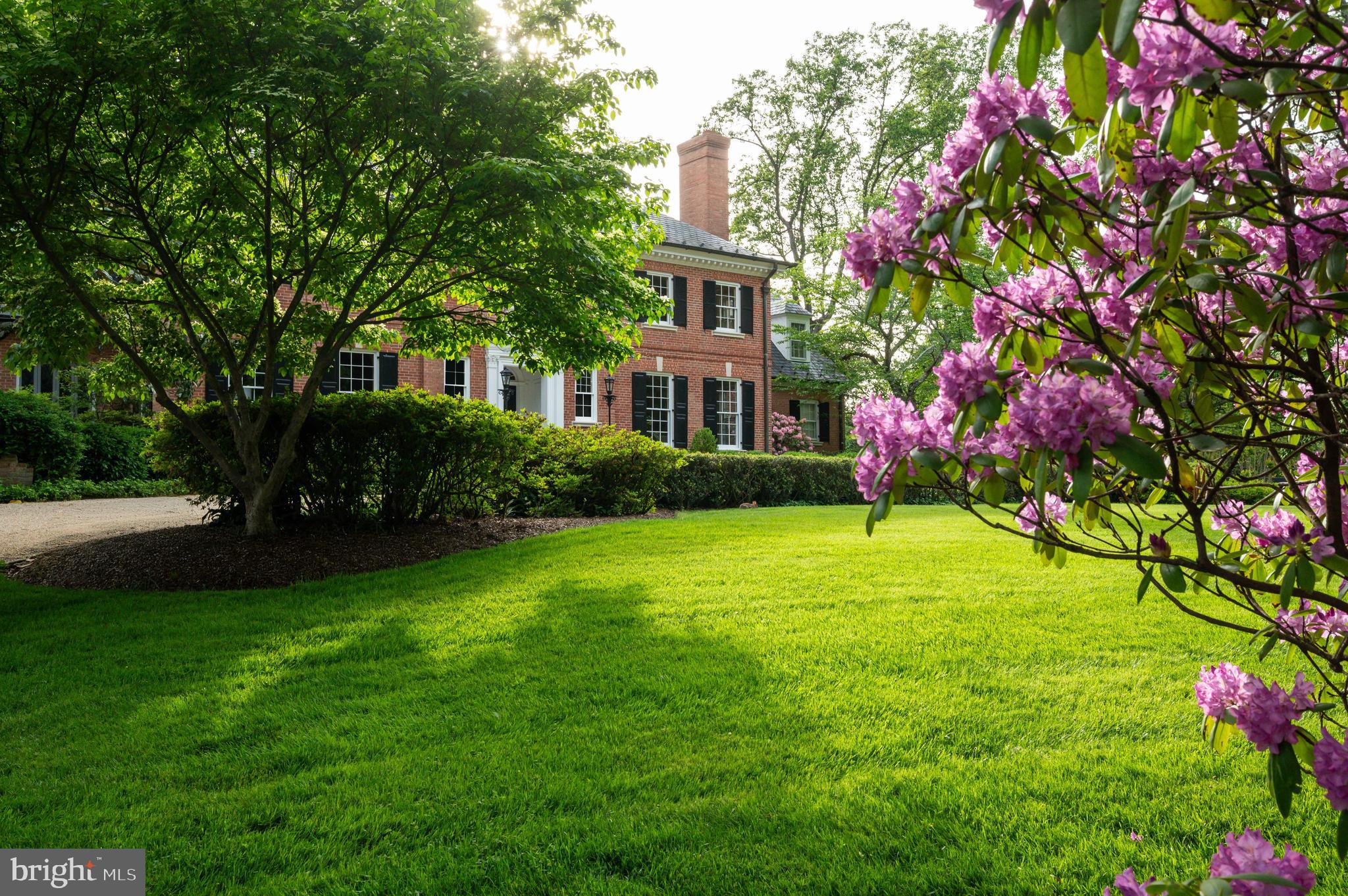 7116 Glenbrook Road Bethesda, MD 20814 - Photo 3 of 30 a front view of house with yard and green space