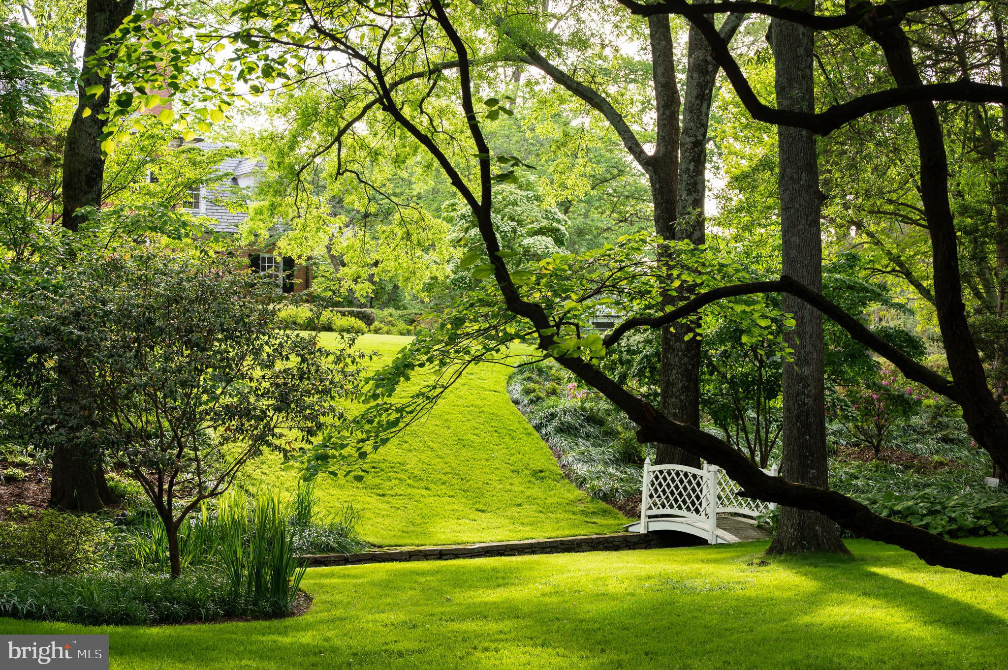 7116 Glenbrook Road Bethesda, MD 20814 - Photo 6 of 30 a view of an outdoor space