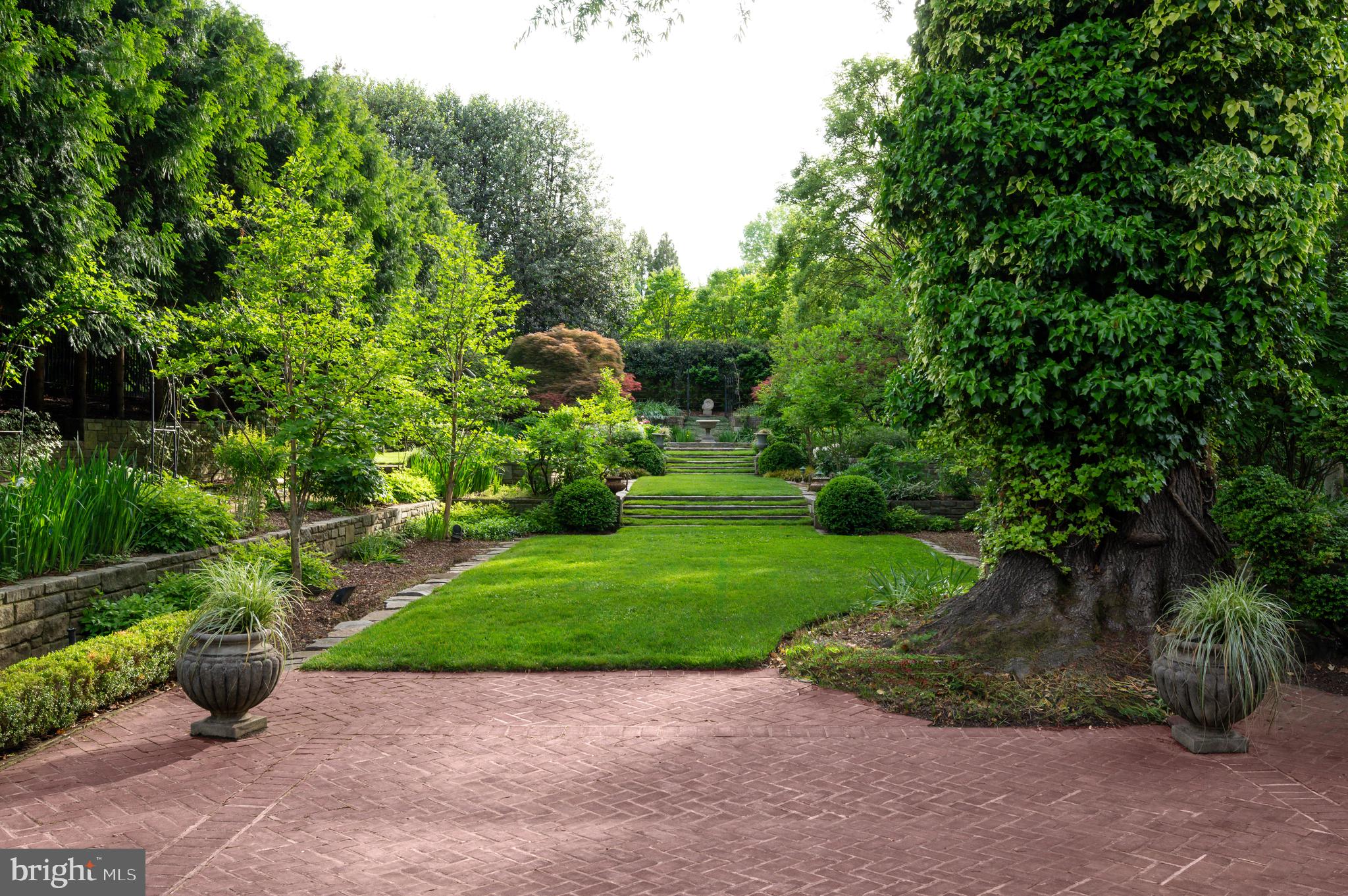 7116 Glenbrook Road Bethesda, MD 20814 - Photo 10 of 30 a view of a garden with plants and trees