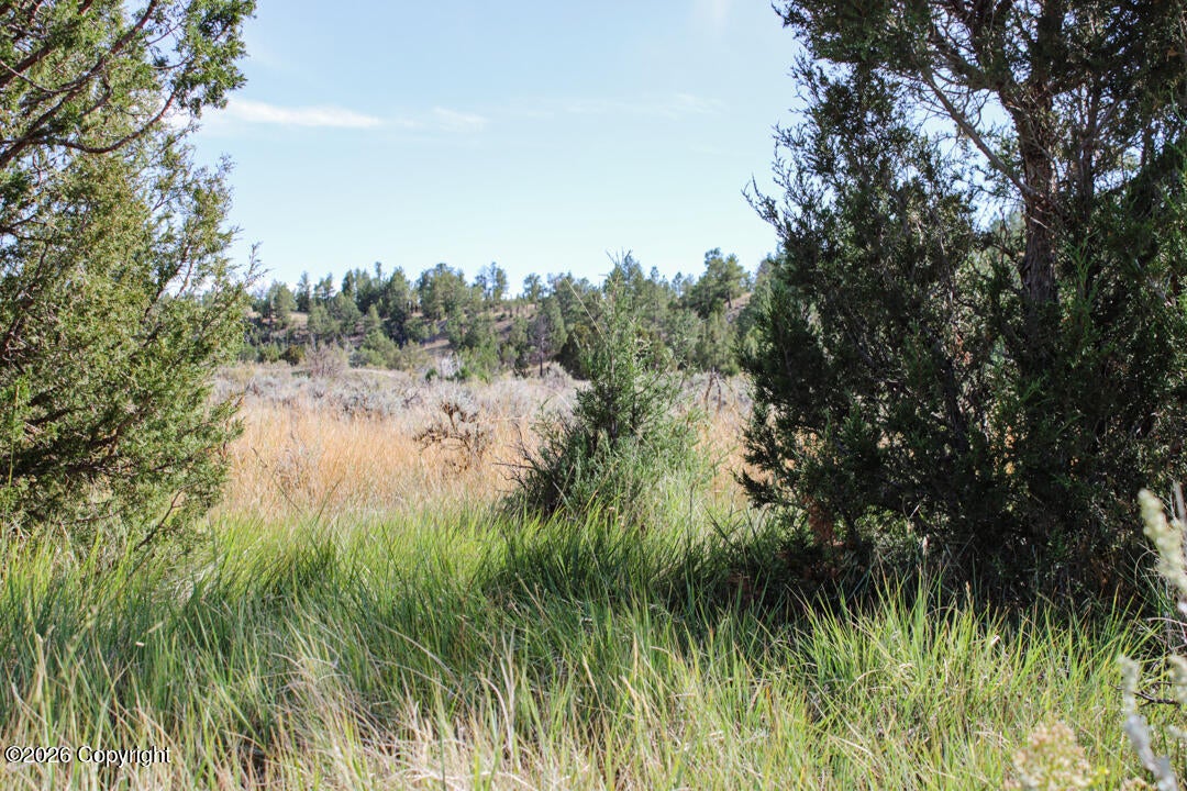 0 Skull Creek Road Osage, WY 82723 - Photo 21 of 51 Gallery Image 21