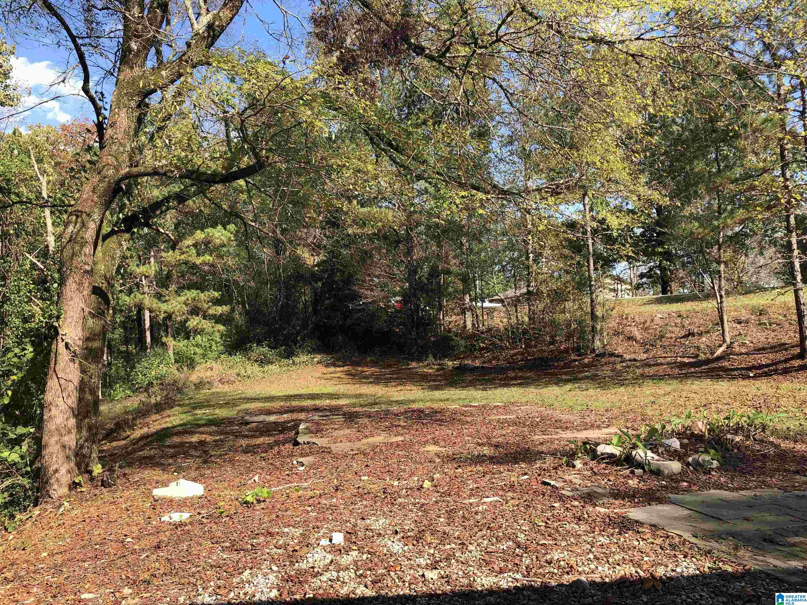 3209 Smith Sims Road Trussville, AL 35173 - Photo 35 of 39
