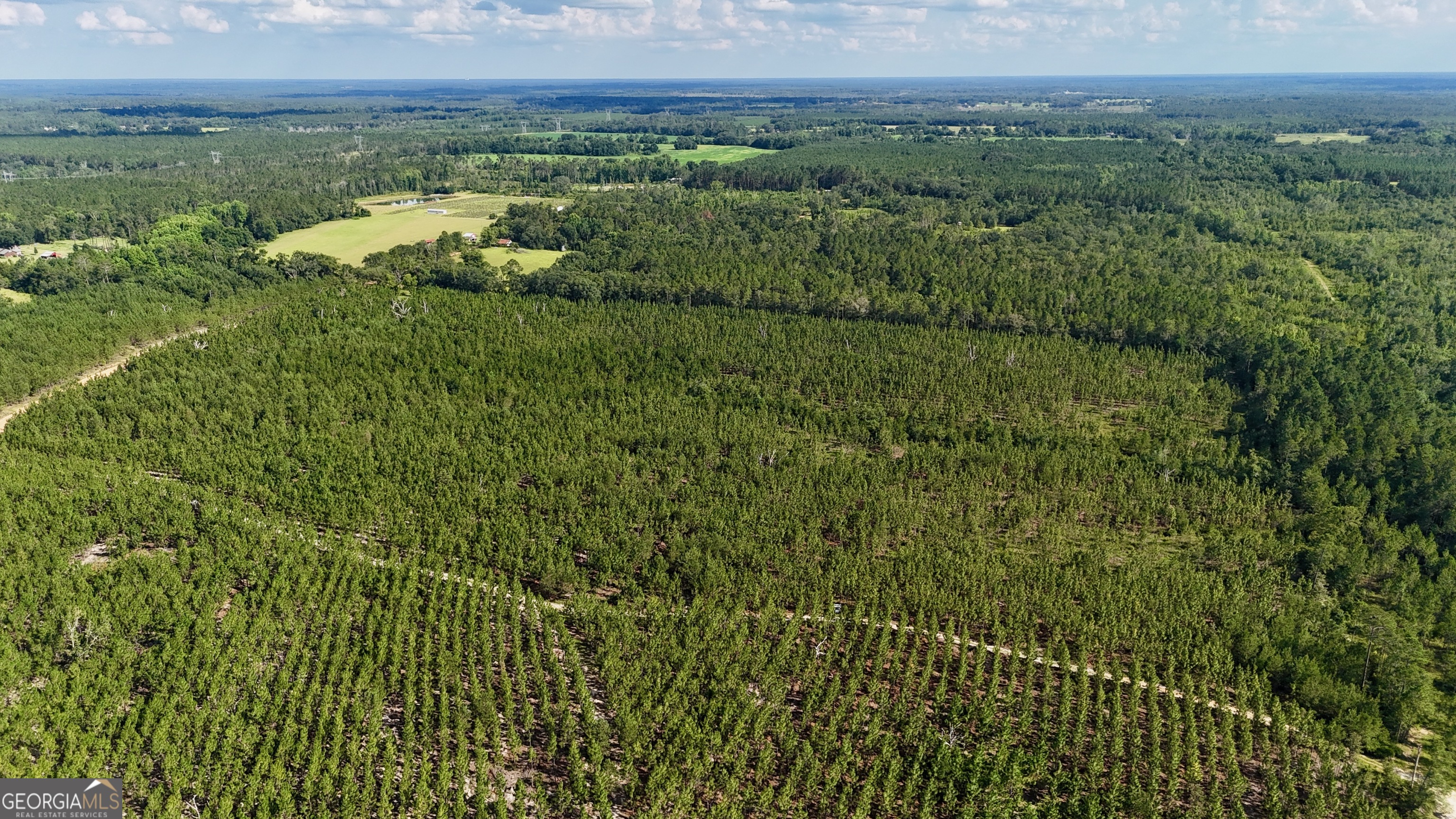 0 Penny Morris Road Baxley, GA 31513 - Photo 3 of 4 a view of a bunch of trees and bushes