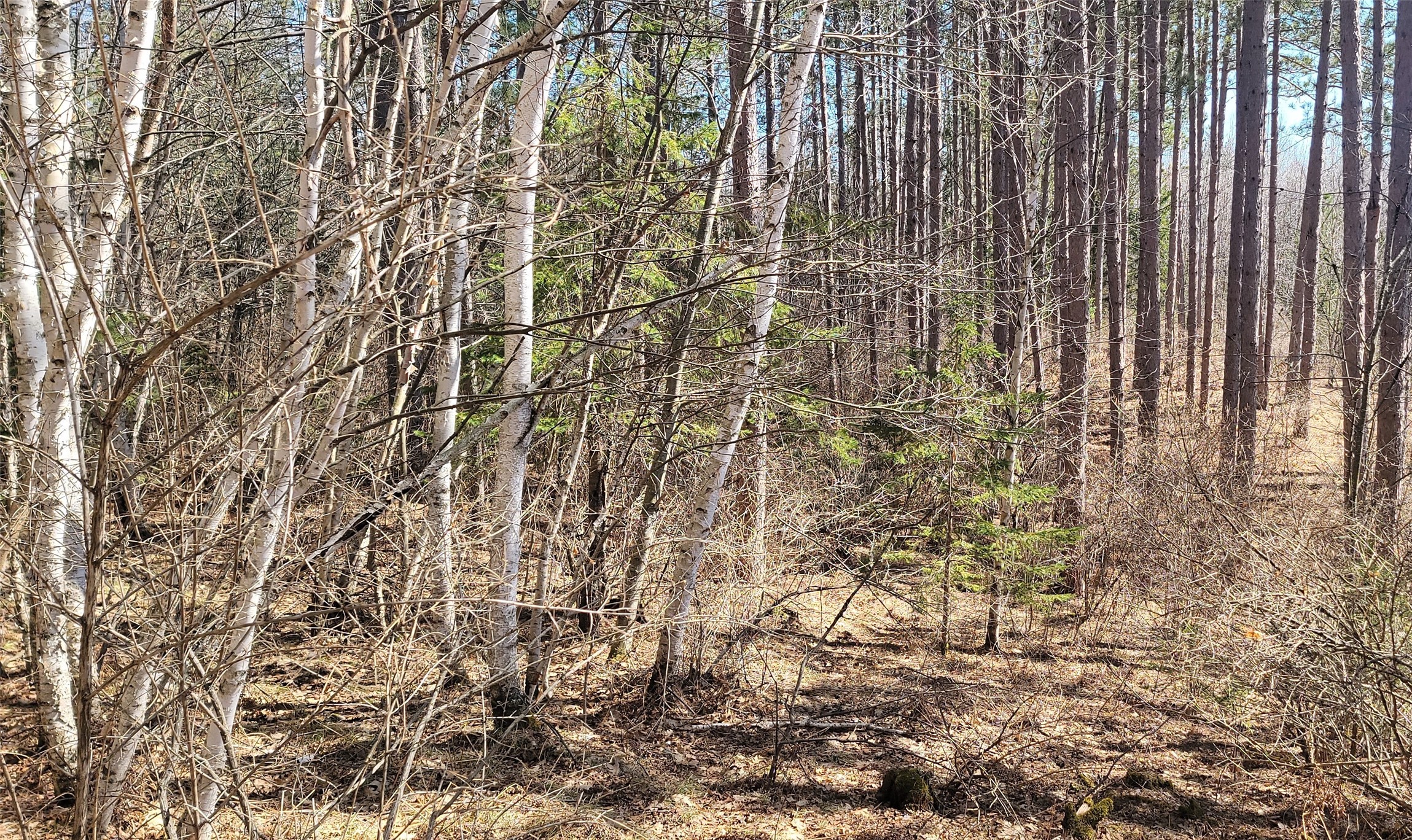 On Hunter Lake Road Winter, WI 54896 - Photo 1 of 1