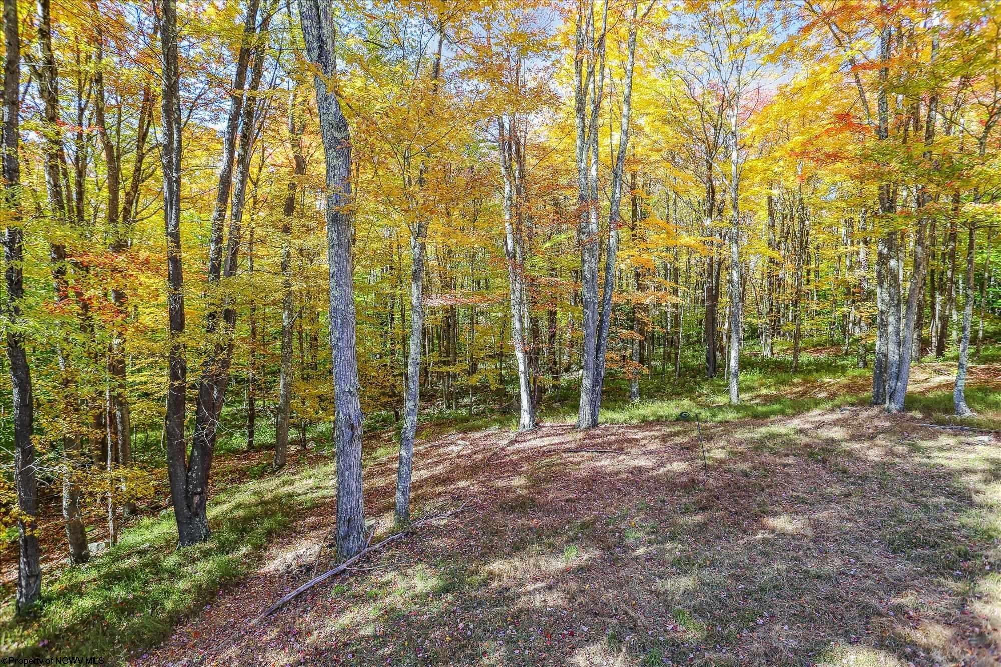231 Cabin Mountain Road Davis, WV 26260 - Photo 28 of 28 Gallery Image 28