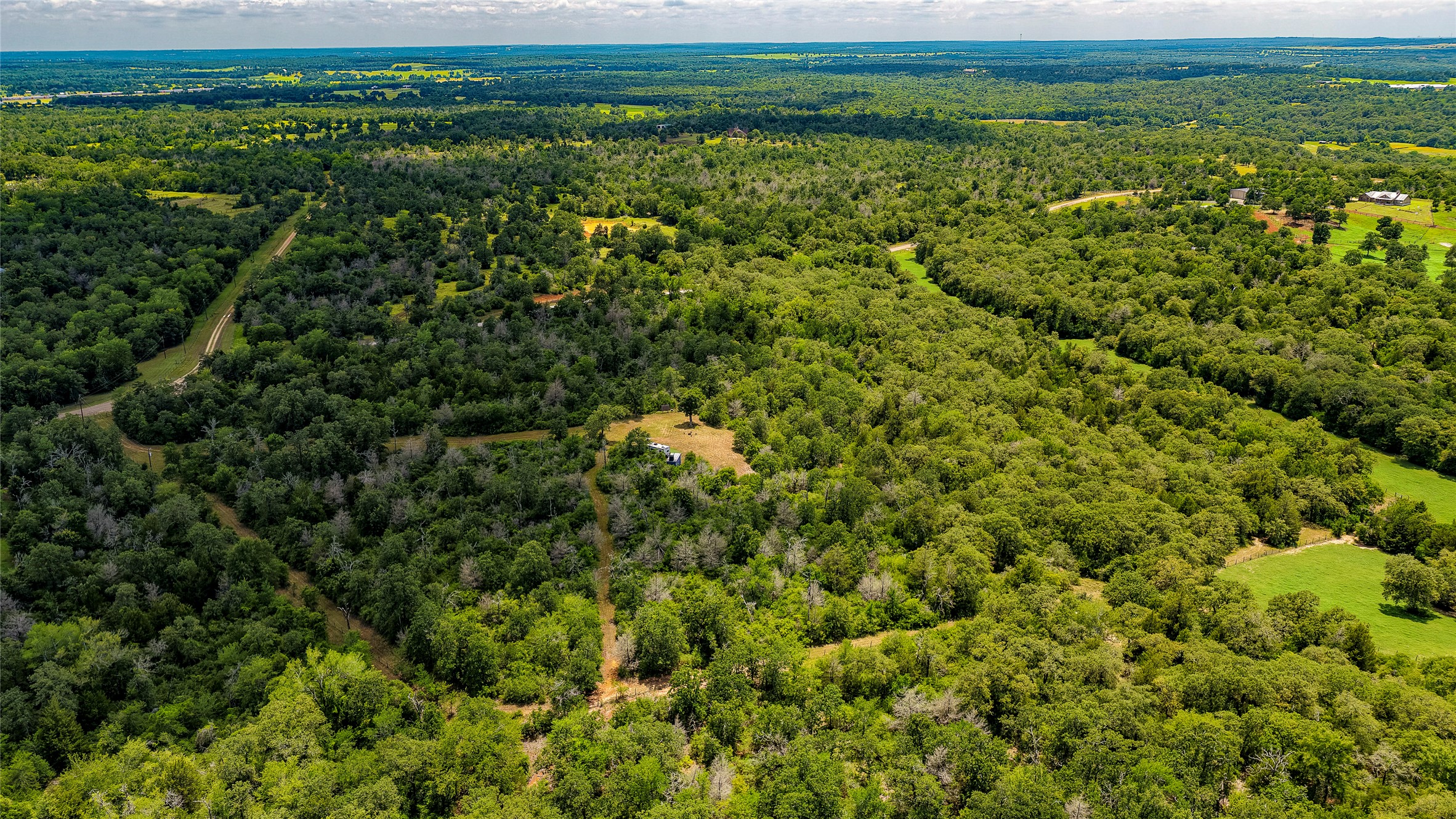 1470 22 Hills Road Gause, TX 77857 - Photo 21 of 35 Explore this sprawling, verdant landscape offering abundant natural beauty and serene privacy.