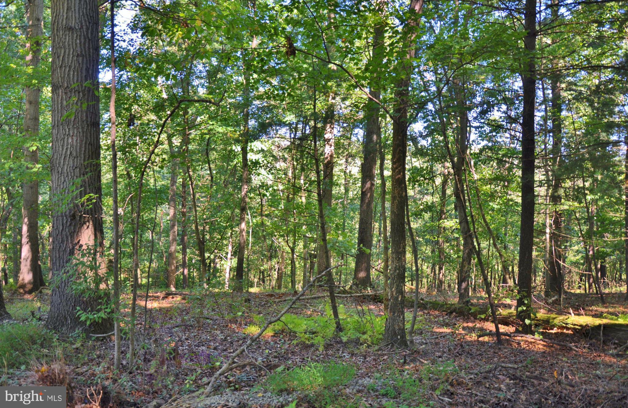 2804 Anderson Road White Hall, MD 21161 - Photo 70 of 75 Gallery Image 70