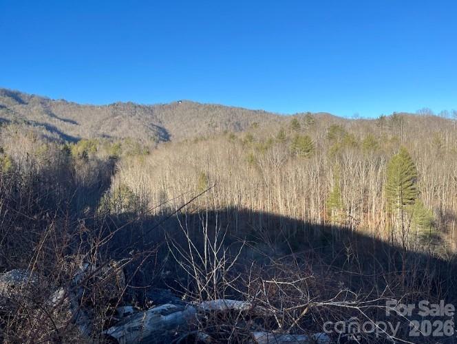 0 Shelton Laurel Road Clyde, NC 28721 - Photo 22 of 22 a view of a yard with wooden fence