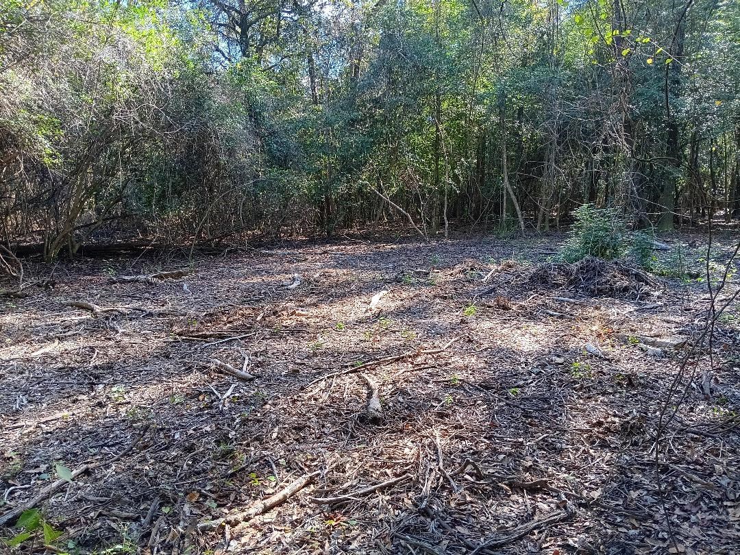 0 Carpenter Lane Bay Minette, AL 36507 - Photo 12 of 14 View