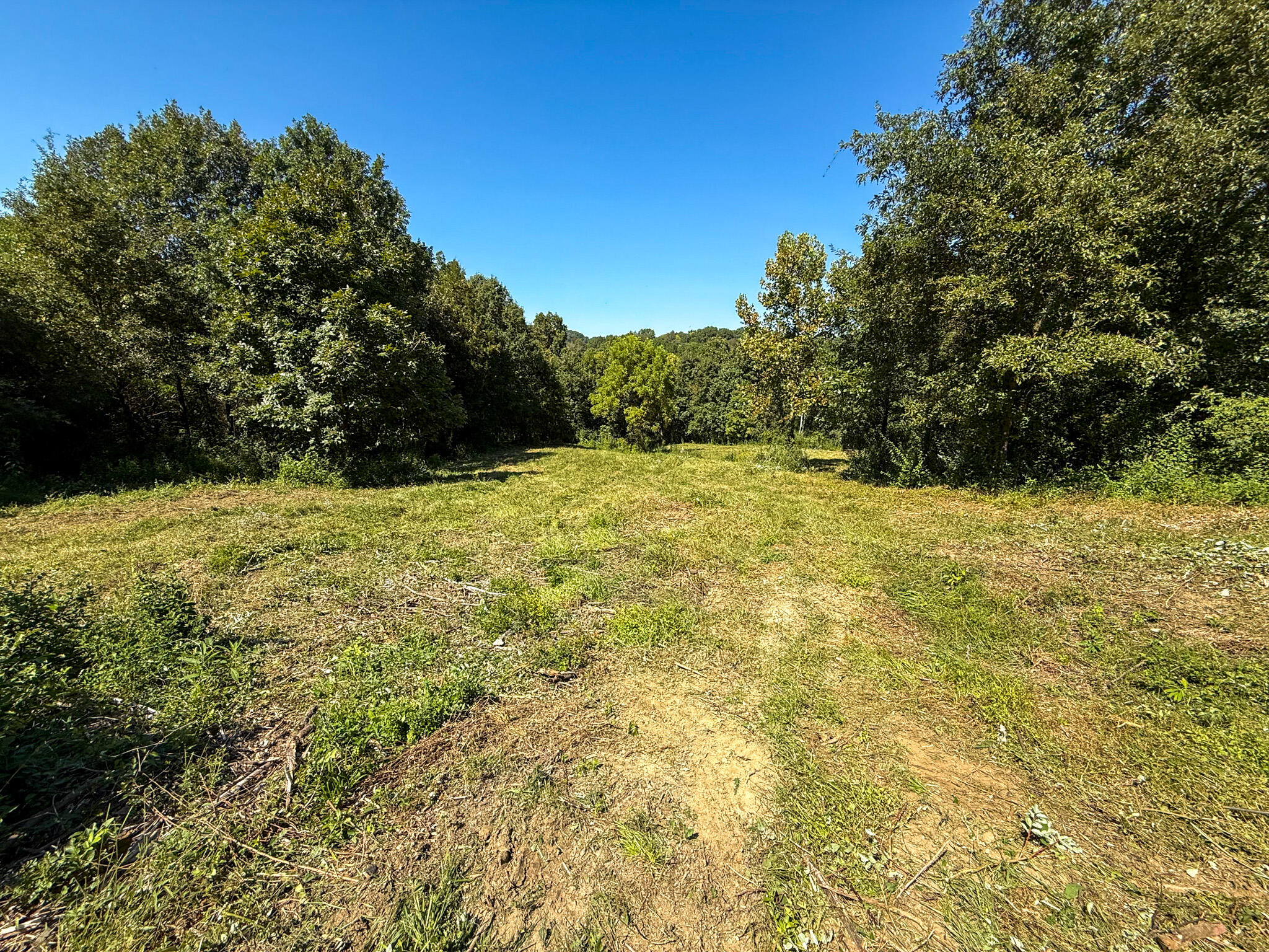 10008 Riddles Run Road Union, KY 41091 - Photo 35 of 50 Gallery Image 35