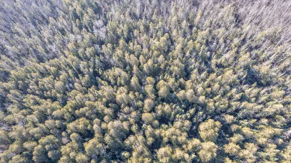 $99,900 | 194 Highway 194, Hermantown, MN 55811