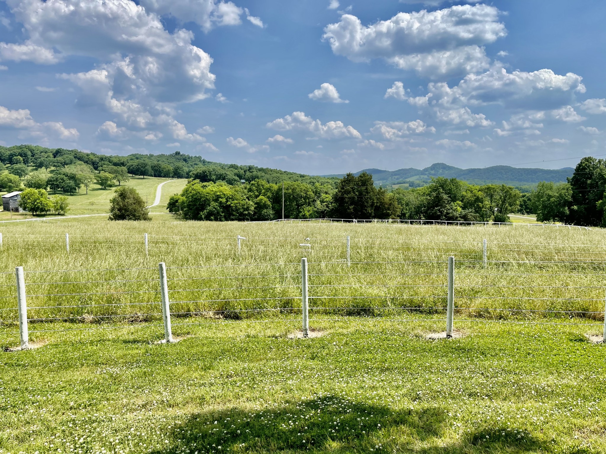 28 Cages Bend Lane Riddleton, TN 37151 - Photo 13 of 39 Gallery Image 13