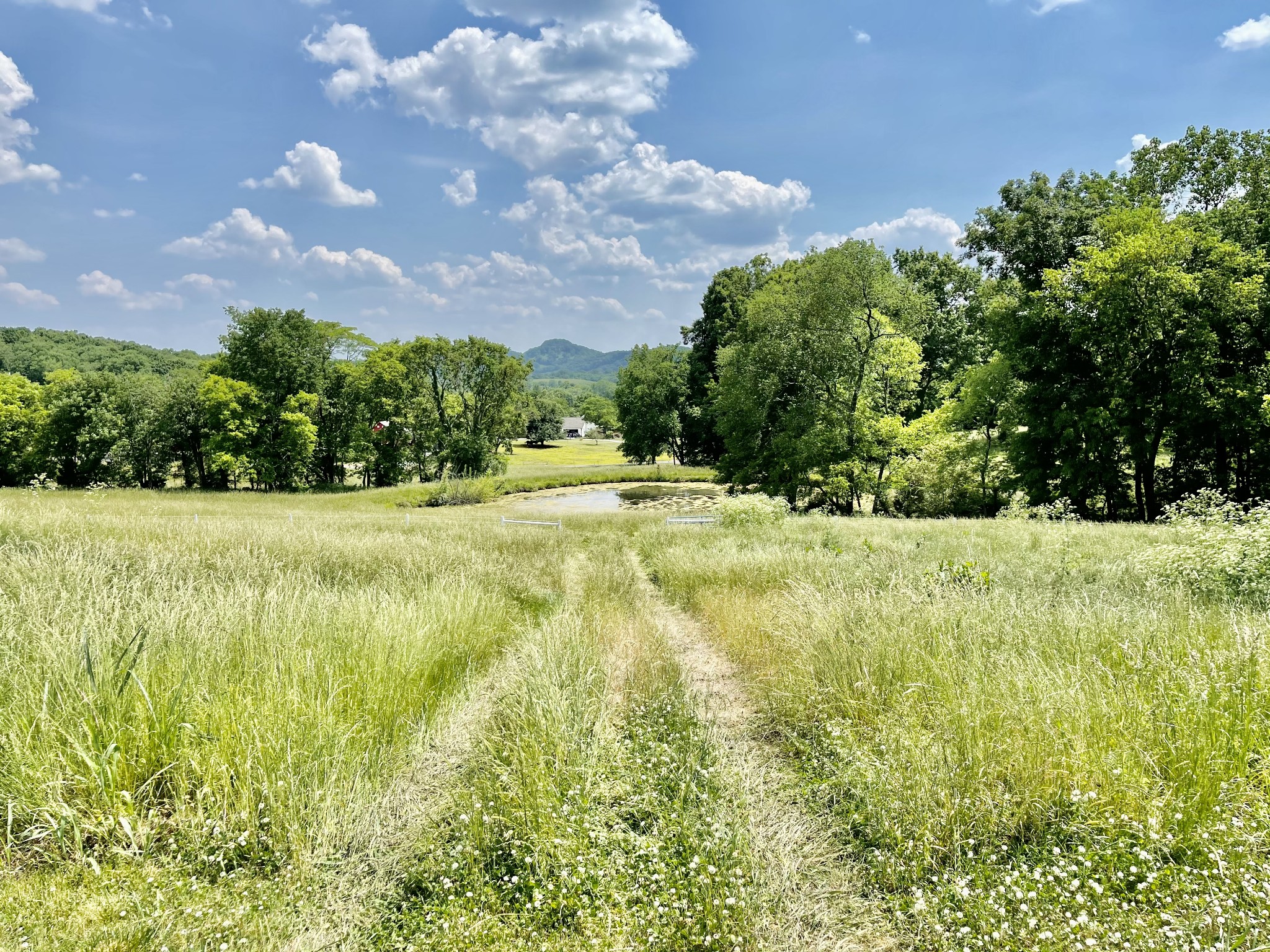 28 Cages Bend Lane Riddleton, TN 37151 - Photo 14 of 39 Gallery Image 14