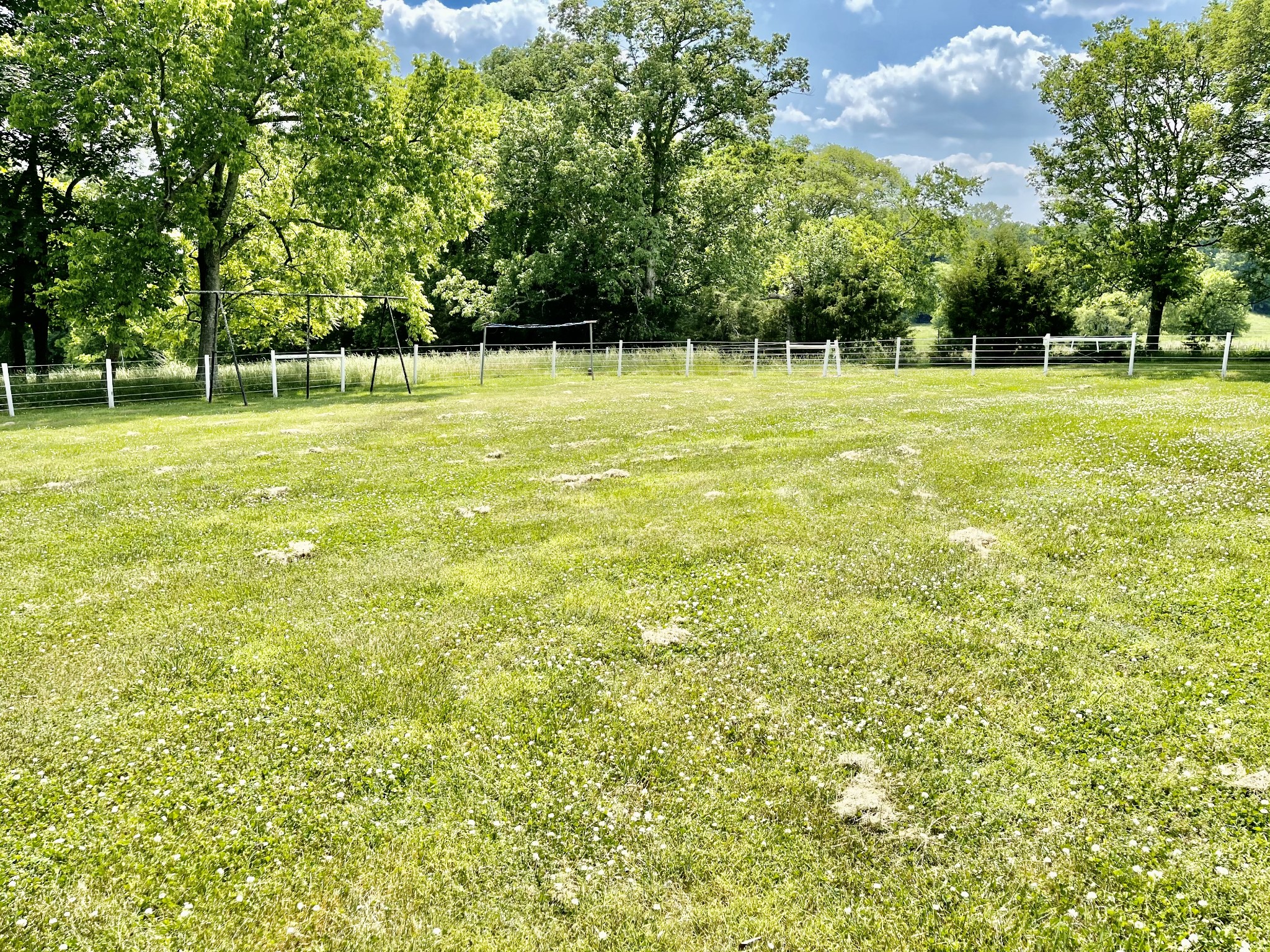 28 Cages Bend Lane Riddleton, TN 37151 - Photo 8 of 39 Gallery Image 8