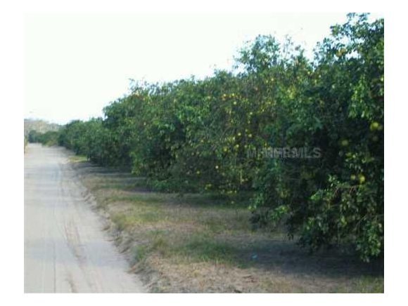 0 Irwin Mims, FL 32754 - Photo 1 of 4 Primary Photo