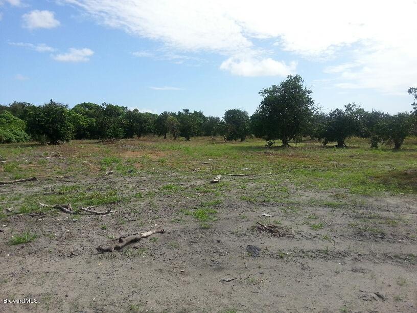 0 Irwin Mims, FL 32754 - Photo 2 of 4 30acregroveCitrus2013