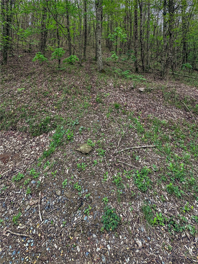 Silverleaf Road Zionville, NC 28698 - Photo 16 of 25