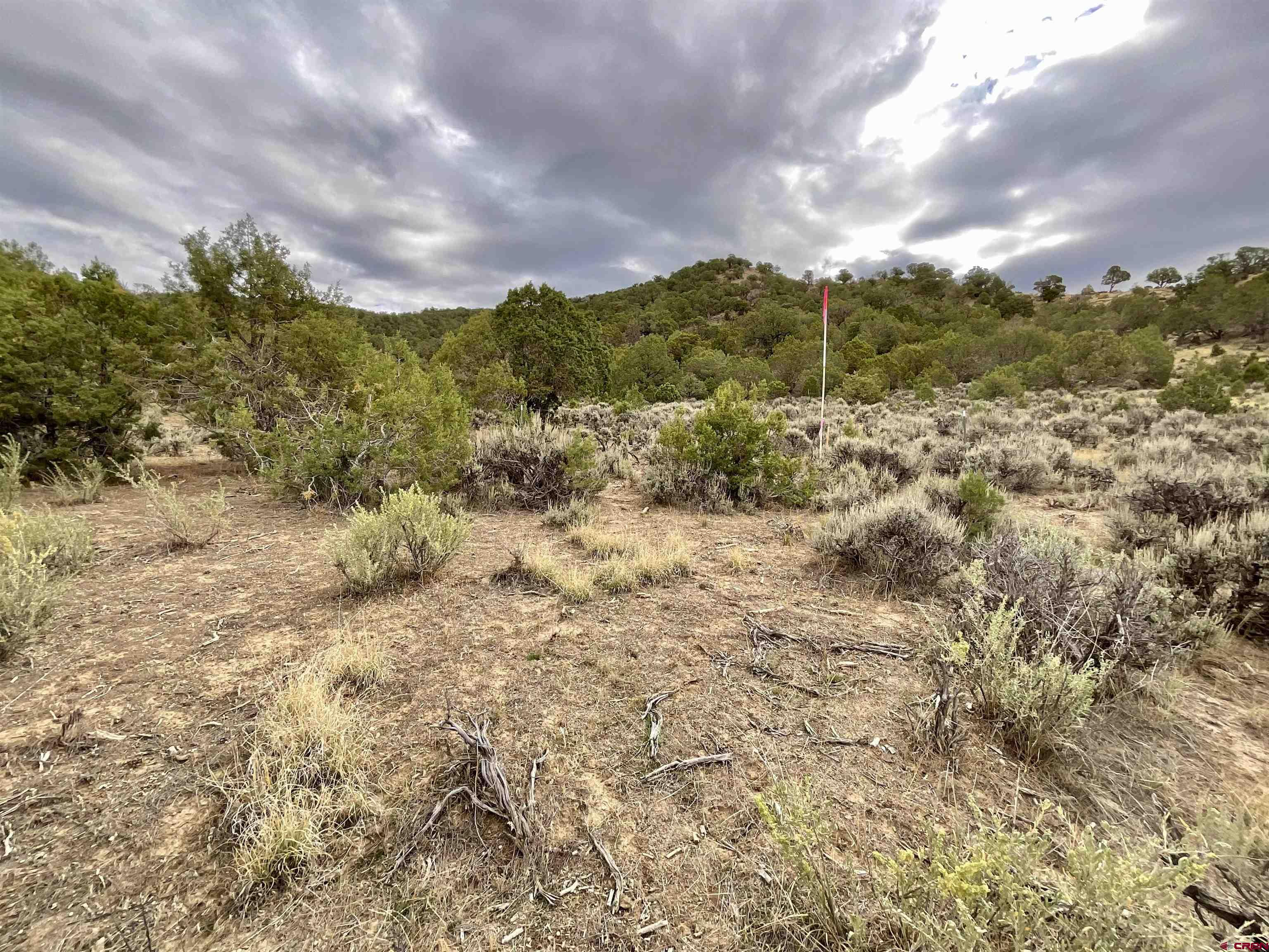 Tbd Lot 22 7250th Road Montrose, CO 81403 - Photo 18 of 25