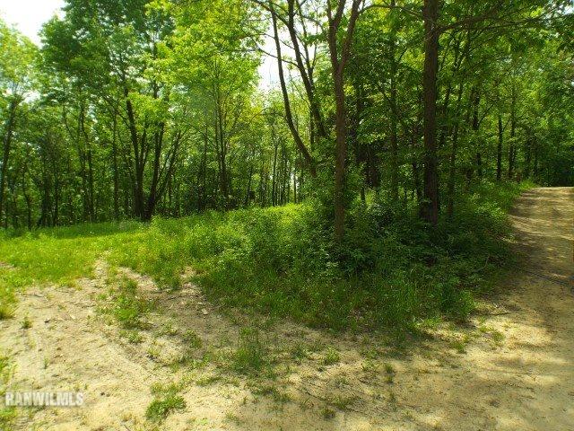 5545 South Tower Road Elizabeth, IL 61028 - Photo 25 of 25 Gallery Image 25