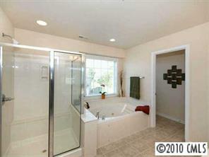 4726 Lapis Court Fort Mill, SC 29708 - Photo 6 of 8