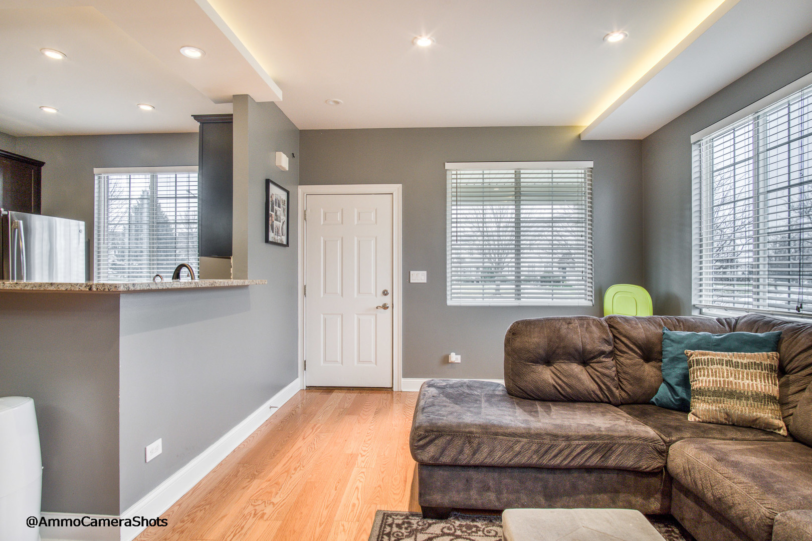 179 Azalea Circle, Unit 179 Romeoville, IL 60446 - Photo 3 of 21