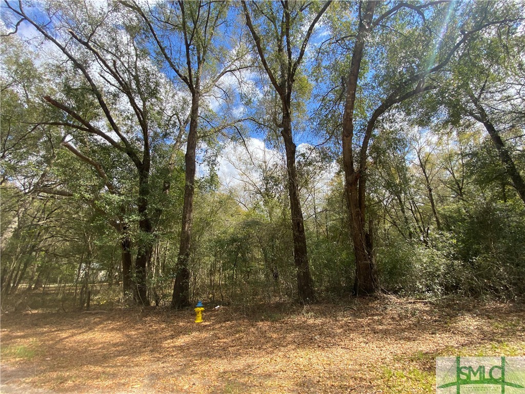 0 Elkins Cemetery Road Guyton, GA 31312 - Photo 2 of 6