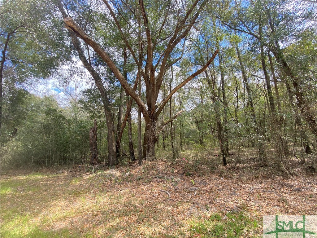 0 Elkins Cemetery Road Guyton, GA 31312 - Photo 3 of 6