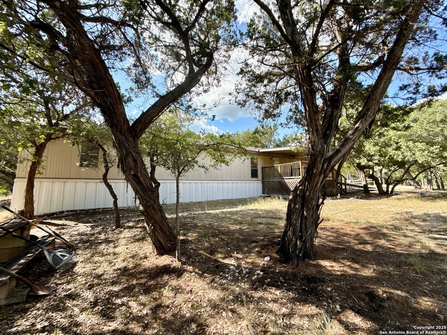 300 Pecos Road Bandera, TX 78003 - Photo 28 of 44 a view of a tree in the middle of a yard